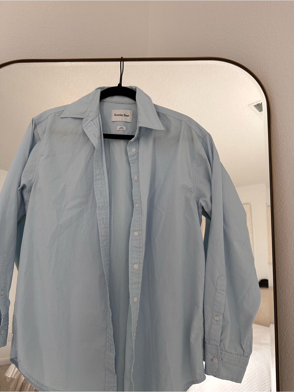 Aritizia- Sunday Best Light Blue Button-Down Shirt